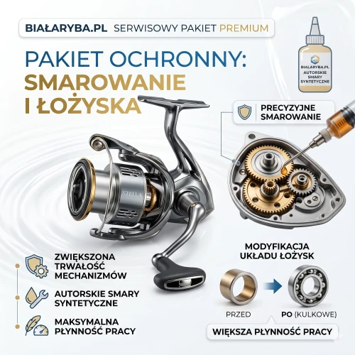 Pakiet Ochronny: Dodatkowe Smarowanie i Modyfikacja Łożysk